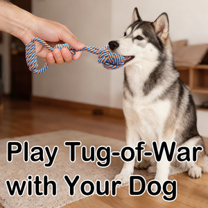 Juguete de Cuerda para Mascotas, Ecológico, Duradero y Seguro, Reduce el Mal Aliento y el Mordisqueo Destructivo, Alivia el Aburrimiento - Product Image 2