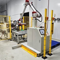 Robot de palettisation collaboratif Focus Machinery, cobot palettiseur, empileur automatique de cartons