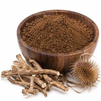 Poudre d'extrait naturel de Dipsacus Asper de qualité alimentaire, rapports d'extraction par solvant 10:1, 30:1, 50:1