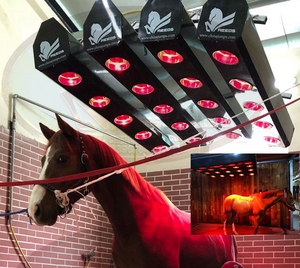 <span class=keywords><strong>Solarium</strong></span> infrarrojo para terapia de caballos: temperatura ajustable para el mantenimiento diario y la recuperación después del ejercicio - Product Image 4