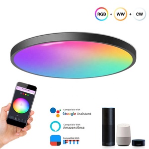Homekit-lámpara de techo inteligente para el hogar, luz blanca y negra con Wifi, Control por voz, para dormitorio, interior, restaurante - Product Image 2