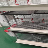 Cage à poulets à 3 niveaux et 2 portes pour 60 poulets avec portes à accès facile