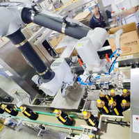 Intelligence robotique à commande électrique pour un emballage précis par préhension et placement. Assure un chargement de casiers efficace et précis.