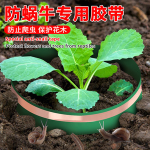 Bande anti-<span class=keywords><strong>escargots</strong></span> autocollante en cuivre pur avec barrière électrostatique, répulsif non toxique pour la protection des plantes de jardin, en stock - Product Image 4