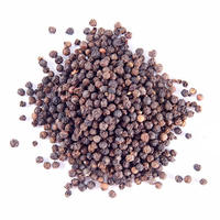 Spices Herbs Condimetns Seasonings Black Pepper