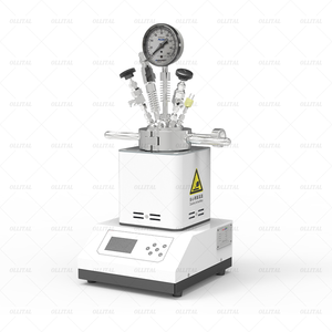 Ouvrez rapidement <span class=keywords><strong>le</strong></span> réacteur magnétique avec un récipient à pression autoclave de bouilloire de réacteur chimique en un clic - Product Image 1