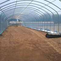 Nouvelle Arrivée Grande Serre Agricole Monocouche Préfabriquée en Film PE Transparent Ensemble Complet Structure Stable pour