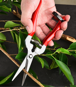 Cisailles de jardin DaringFish pour l'élagage des arbres et des fleurs, ciseaux à bonsai, coupe-plantes, outil de jardinage - Product Image 4