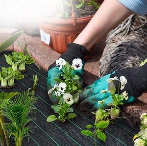 Toile de paillage anti-mauvaises herbes pour serre, non tissée, sans barrière, verte et blanche, en rouleaux pour l'agriculture - Product Image 5