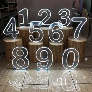 WinBo ücretsiz kargo 2ft3ft 4ft 0-9 A-Z büyük led mektup numarası ışık ücretsiz tasarım akrilik Light Up RGB neon numarası işareti parti