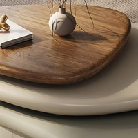 Muebles Modernos para Sala de Estar, Mesa de Centro, Juego de Mesa de Café de Lujo Nórdico, Mesa de Centro Simple e Irregular para el Hogar