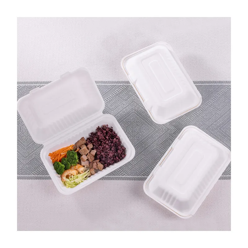 hot sale Takeaway For Fast Food Paper eco Lunch Box Bagasse 9 Inch Two Compartment Food Box Pulp Box