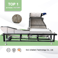 Machine automatique de fabrication de bâtonnets de crème glacée en bois à prix d'usine, ligne de production de bâtonnets de sucettes glacées
