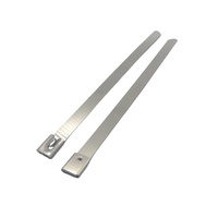 Selbstsichernde Edelstahl-Kabelbinder 4,6x300mm 8mmx300mm