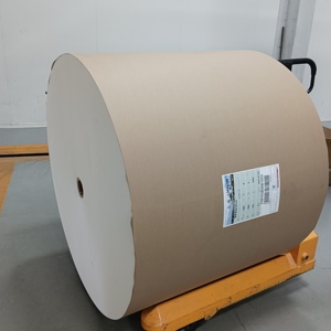 ม้วนกระดาษเคลือบ PE แบบสองหน้า/หน้าเดียว - Product Image 6