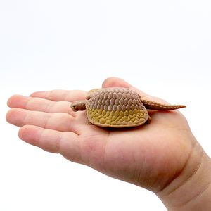 Realistico in PVC di alta qualità giocattoli di plastica con Figure di animali da compagnia realistici eco-friendly animali con scudo dentato drago per bambini giocattoli - Product Image 1