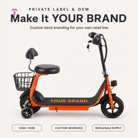 Trottinette Électrique Lithium Ultra-Légère 250W 2026 avec Pneus de 8,5 Pouces, Capacité de Charge de 150KG, Moteur Brushless, Autonomie de 15-25km pour le Sud