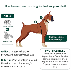 Nilon tahan lama kontrol nyaman tidak menarik tidak tersedak Mesh <span class=keywords><strong>Harness</strong></span> anjing peliharaan dengan rompi jala - Product Image 6