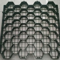 Grille de gravier 19.7 pouces pavés grille d'herbe de voiture perméable en plastique