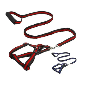 Set guinzaglio imbracatura per cani Bungee