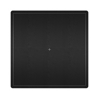 Detector de Rayos X Veterinario Económico de 17x17 Pulgadas, Detector de Rayos X de Panel Plano con Cable para Mascotas de Alta Relación Calidad-Precio