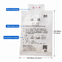 Sac de glace réutilisable de 100 ml à injection d'eau, pack de gel froid de qualité alimentaire durable pour livraison de repas, boîte à lunch, stockage de lait maternel