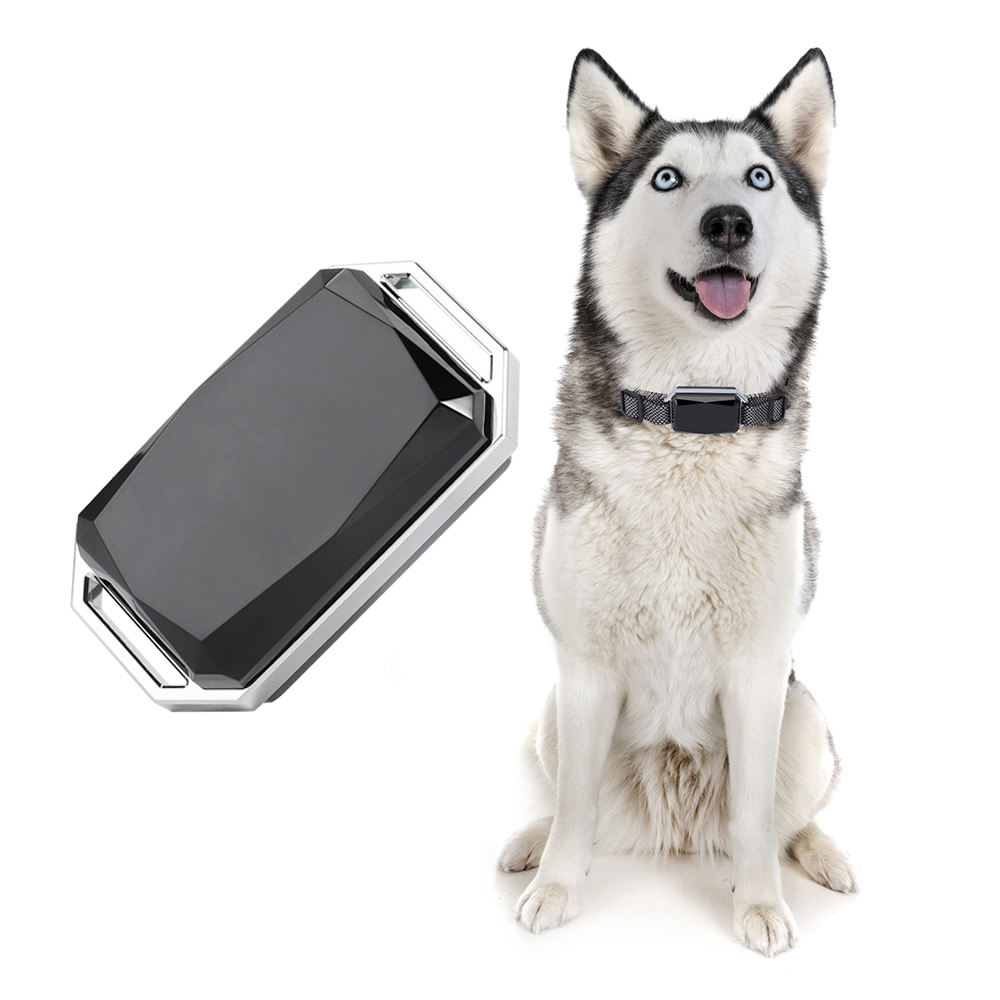 Amazon Gps Dog Collar Tag Smart Collar Dog Tracker Nano App Dog