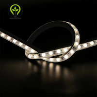 2020 DMX512 Optique 3D Silicone LED Wall Washer Free Bend USB IP67 avec divers angles de faisceau pour les applications paysagères