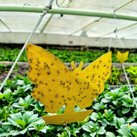 Piège à colle jaune en forme de papillon pour insectes, piège à colle jetable pour attraper les nuisibles, contrôle des mouches pour l'agriculture