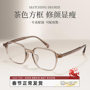 Monturas de Gafas Cuadradas Danyang B8815 para Mujer, Montura Completa, Lentes de PC, Cómodas y Ligeras - Product Image 5