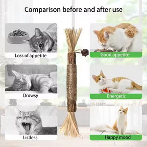 Juguetes para Masticar de Madera Extra Grandes con Forma de Polígono para Gatos, Resistentes a Mordeduras, para Gatitos - Product Image 4