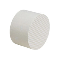 Filtro Antiparticolato Diesel (DPF) con Catalizzatore Ceramico a Nido d'Ape per Sistemi di Scarico, con Servizi di Stampaggio e Piegatura