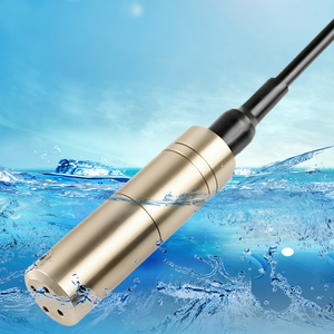 Sensor de Nivel de Agua Sumergible Hidrostático de 12V, Acero Inoxidable, Precisión del 0.5%, Resistente al Agua IP68 - Product Image 4