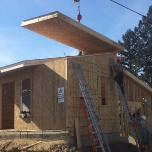 Sips <span class=keywords><strong>Sandwich</strong></span> <span class=keywords><strong>Panel</strong></span> <span class=keywords><strong>OSB</strong></span> resistente al agua con superficie terminada Flakeboards Categoría de producto - Product Image 3