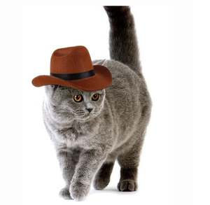 Chapéu Cowboy <span class=keywords><strong>Pet</strong></span> para Cães e Gatos-Chapéu Estilo Ocidental para Animais - Product Image 2