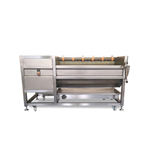 Zeer Efficiënte Borstelwasmachine Grondige Reinigingsapparatuur Voor Diverse Artikelen Voor Groenten En Fruit