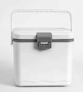 Custom 4.5L Band Koelbox Plastic Draagbare Outdoor Camping Vissen Blikjes Koeler Ijs Geïsoleerde Vaccin Vergrendeling Koelbox