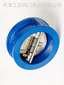 Válvula de Retención Tipo Wafer Dn100 de Proveedor de Fábrica China - Product Image 2