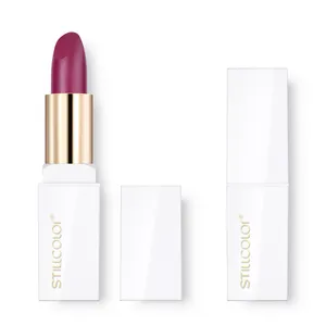 Rossetto rossetto Private Label Beauty lucidalabby impermeabile rende il tuo marchio opaco rossetto nudo Make Up Lip Stick