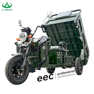 LB-LB160G2 véhicule de fret électrique robuste 1500W haute vitesse à trois roues cargo vélo camion cargo tricycle