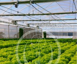 Sistema de riego de invernadero Jiapei, pulverización de niebla <span class=keywords><strong>al</strong></span> <span class=keywords><strong>revés</strong></span>, riego por microspray - Product Image 4