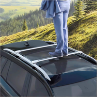 QIMNING TC-eyu Aluminium-Dachgepäckträger für SUVs, Abschließbar, 100kg Tragfähigkeit, 120x14x20cm