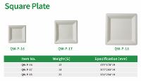 Vente en gros d'assiettes jetables biodégradables de canne à sucre de 10 pouces conception compostable carrée pour le camping plateau de dîner