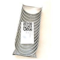 JUEGO DE COJINETES DE MOTOR WP13 612660010031 612660010032