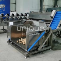 Zeevruchten Vis Bin Dumper Krat Dumper Doos Dumper