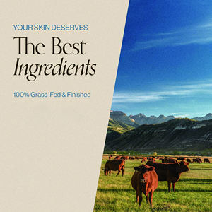 Увлажняющий крем для подтяжки кожи, органический бальзам из говяжьего сала с сырым медом - Product Image 4