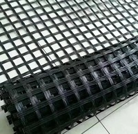 Géogrille en polyester biaxiale pour le renforcement des sols molles, la construction routière et les murs de soutènement
