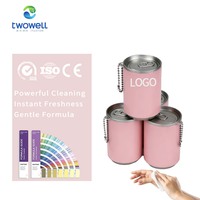 Lingettes hygiéniques pour les mains hautement efficaces, mini porte-clés, lingettes nettoyantes en conserve pour les voyages