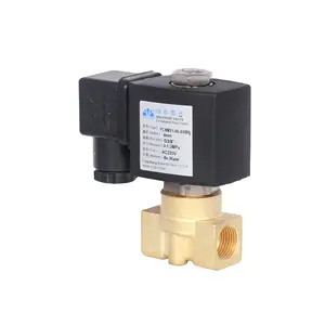 Yongchuang áp suất thấp solenoid valve 24V cho nước Air gas