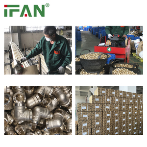 IFAN BS 7291 Raccords filetés en laiton en gros d'usine Connecteur de mélangeur chromé Mamelon personnalisé Raccord de tuyau en laiton - Product Image 6